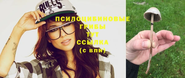 mix Алексин